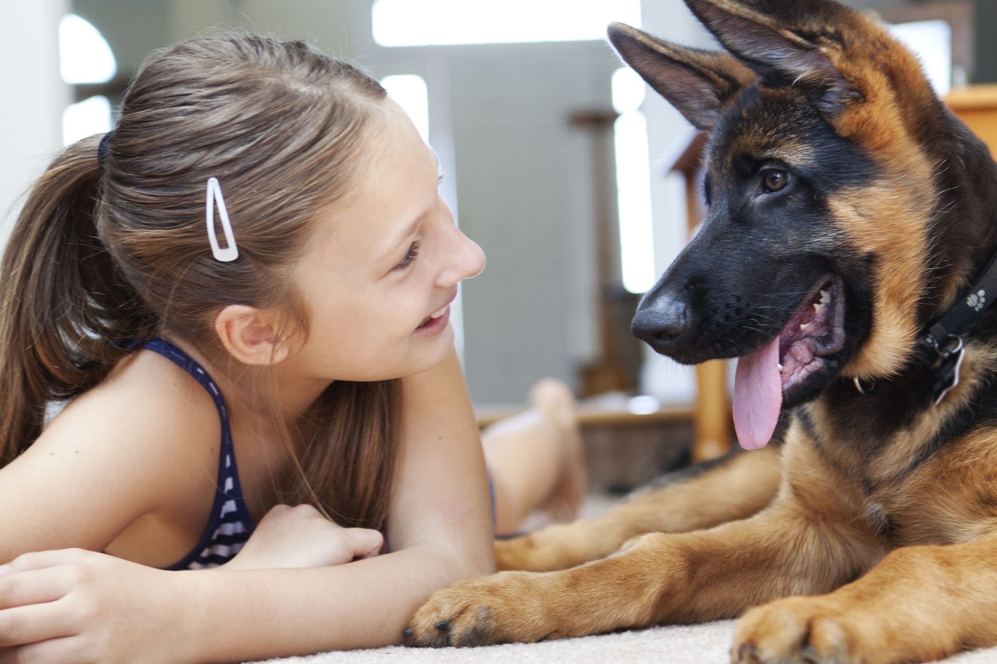 Security Dogs for Reliable Site Protection by ISA Support Services